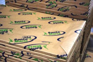 MONOLUCIDO 120 GRS SAMAGLOSS