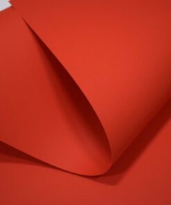 CURIOUS MATTER DESIREE RED