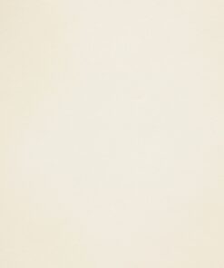 RIVES LINEAR PALE CREAM
