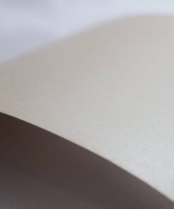 CLASS COLOR BRONZE