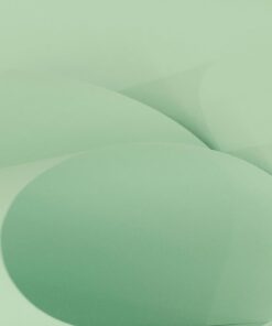 COLOR PLUS VENEZA
