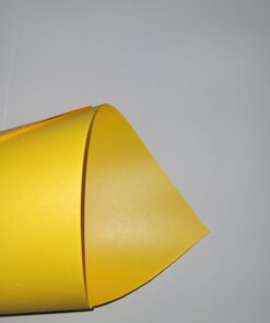 CLASS COLOR CANARIO
