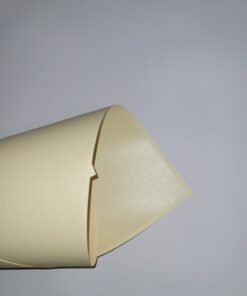 CLASS COLOR CHAMPAGNE