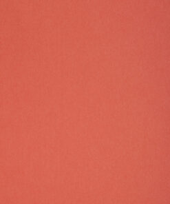 SIRIO COLOR FLAMINGO